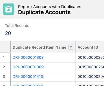 Preview of Account Duplicate Record Report in Salesforce