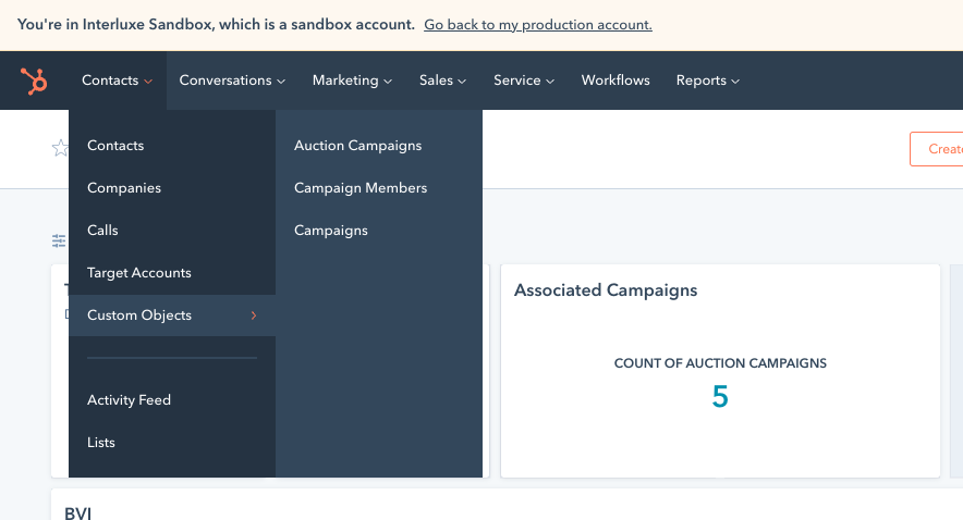 Screenshot: Initial Custom Object Solution