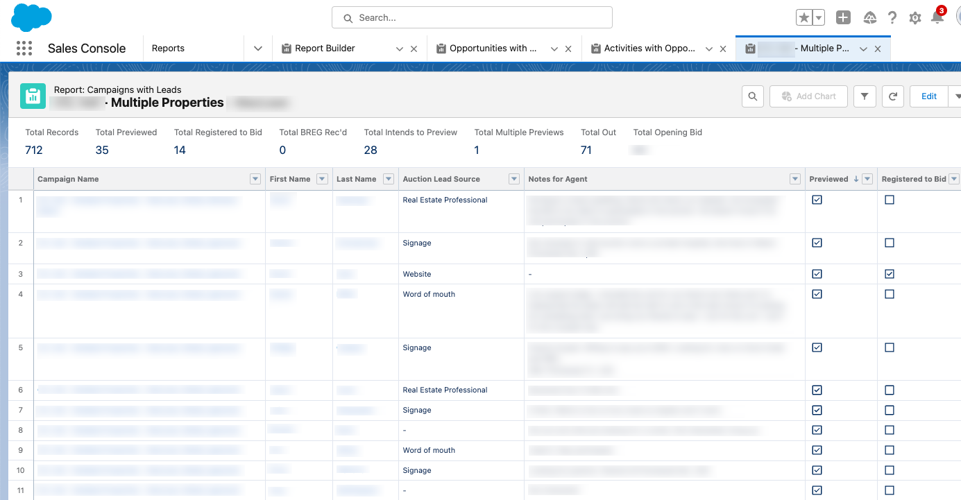 Interluxe - Salesforce Campaign Report