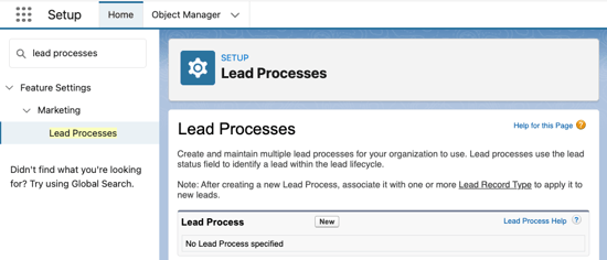 Create a new Salesforce Lead Process